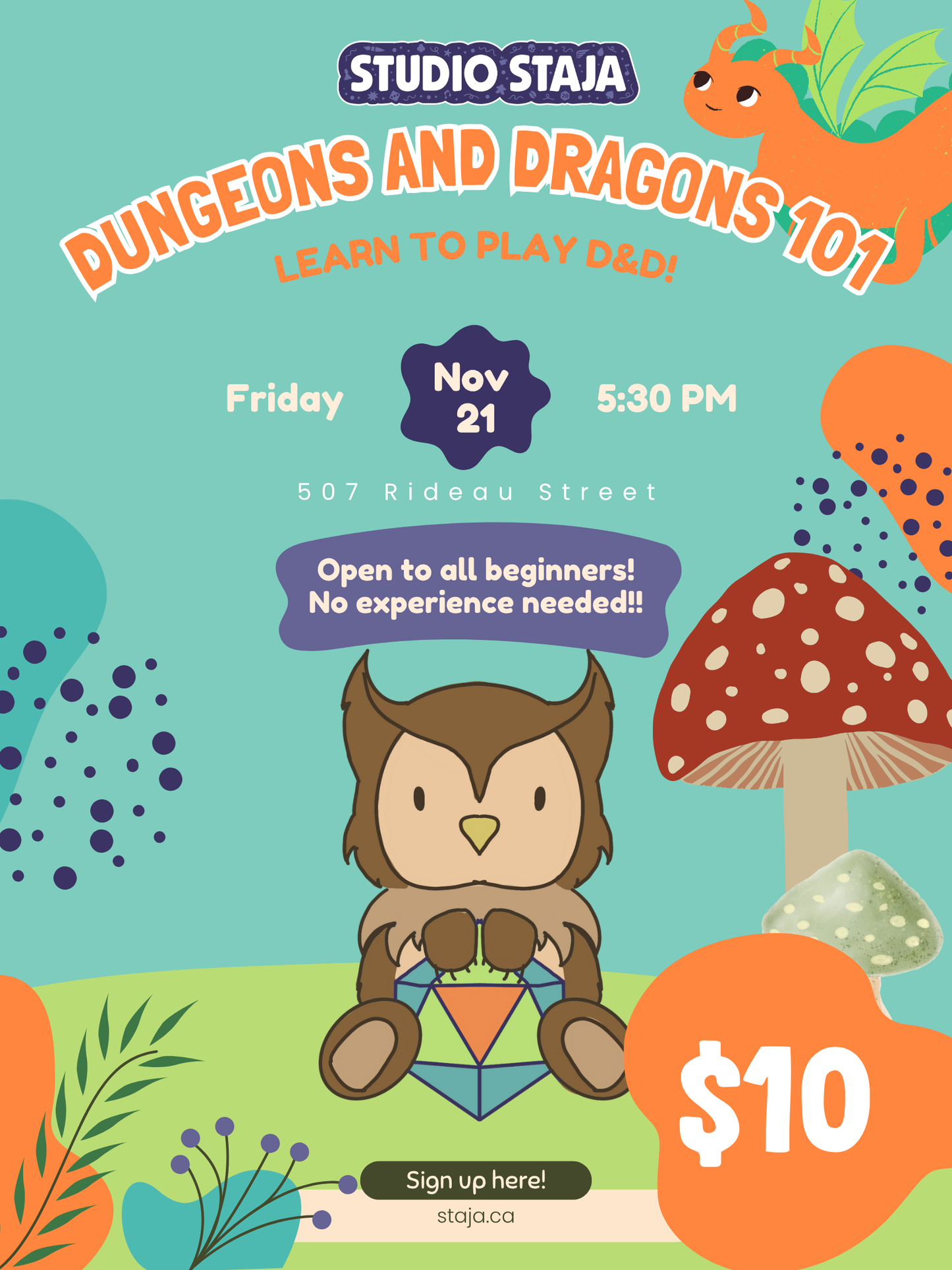 Dungeons and Dragons 101: Beginner night!