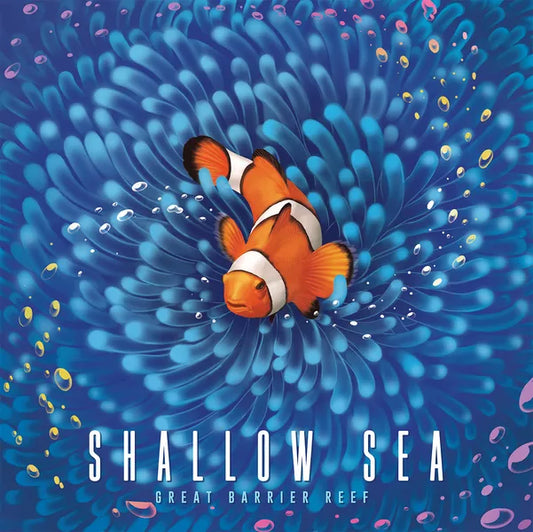 Shallow Sea [Précommande Kickstarter] (EN)